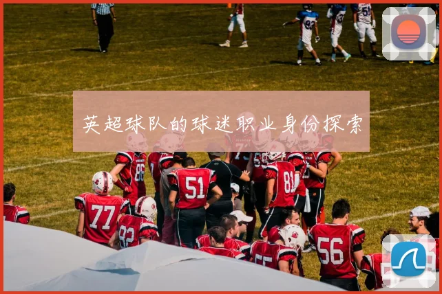 英超球队的球迷职业身份探索