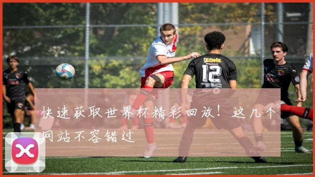 快速获取世界杯精彩回放!这几个网站不容错过