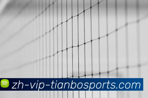 天博app品牌故事